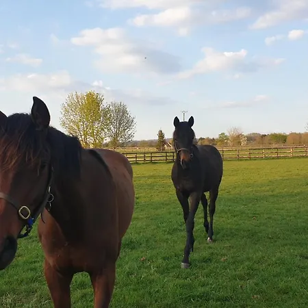 Le Chateau De Chambois - Confidentiel - Familles - Seminaires *
