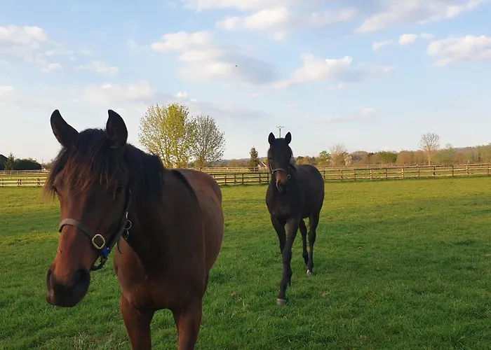 Le Chateau De Chambois - Confidentiel - Familles - Seminaires *